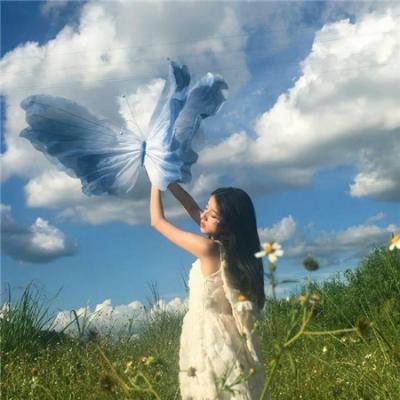 遛鸟家族